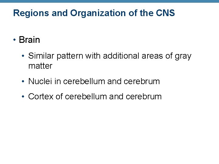 Regions and Organization of the CNS • Brain • Similar pattern with additional areas