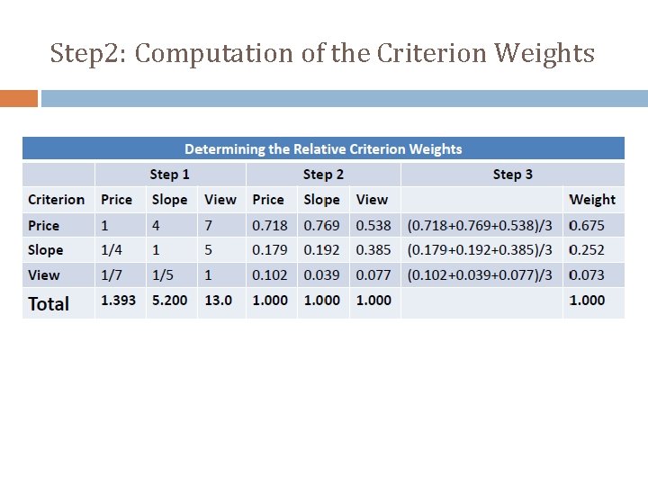 Step 2: Computation of the Criterion Weights 