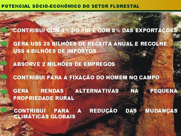 POTENCIAL SÓCIO-ECONÔMICO DO SETOR FLORESTAL CONTRIBUI COM 4% DO PIB E COM 8% DAS