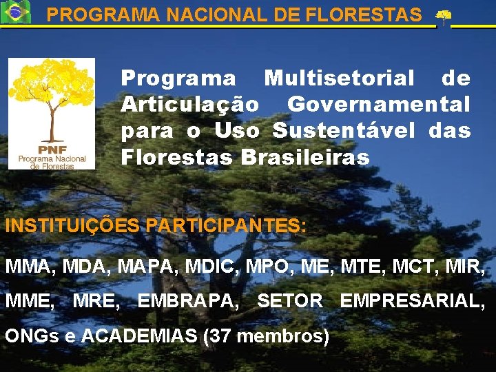 PROGRAMA NACIONAL DE FLORESTAS Programa Multisetorial de Articulação Governamental para o Uso Sustentável das