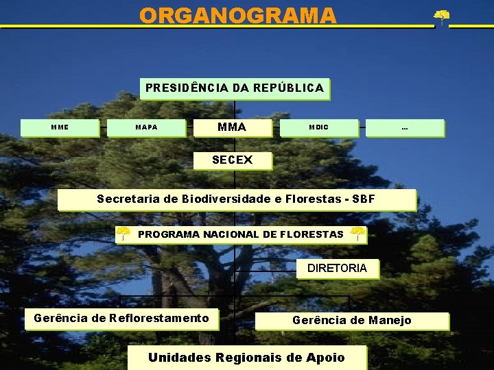 ORGANOGRAMA PRESIDÊNCIA DA REPÚBLICA MME MAPA MMA MDIC . . . SECEX Secretaria de