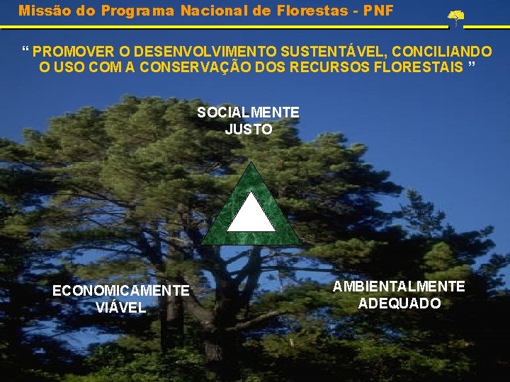 Missão do Programa Nacional de Florestas - PNF “ PROMOVER O DESENVOLVIMENTO SUSTENTÁVEL, CONCILIANDO