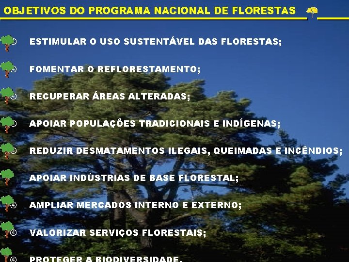 OBJETIVOS DO PROGRAMA NACIONAL DE FLORESTAS ESTIMULAR O USO SUSTENTÁVEL DAS FLORESTAS; FOMENTAR O