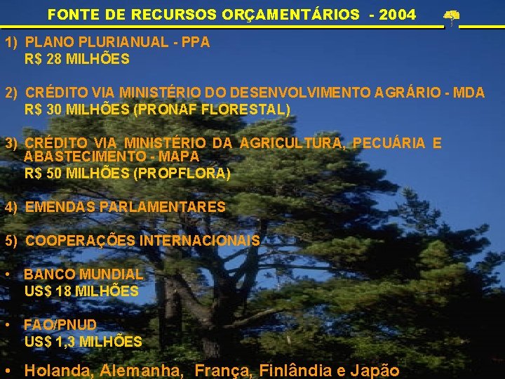 FONTE DE RECURSOS ORÇAMENTÁRIOS - 2004 1) PLANO PLURIANUAL - PPA R$ 28 MILHÕES