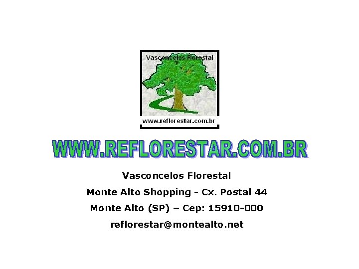 Vasconcelos Florestal Monte Alto Shopping - Cx. Postal 44 Monte Alto (SP) – Cep: