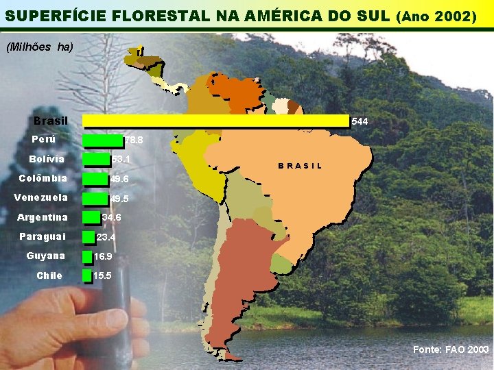 SUPERFÍCIE FLORESTAL NA AMÉRICA DO SUL (Ano 2002) (Milhões ha) Brasil 544 Perú 78.