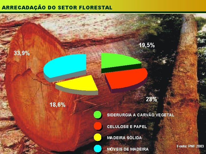 ARRECADAÇÃO DO SETOR FLORESTAL 19, 5% 33, 9% 28% 18, 6% SIDERURGIA A CARVÃO