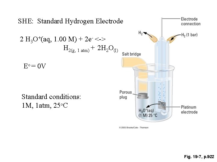 SHE: Standard Hydrogen Electrode 2 H 3 O+(aq, 1. 00 M) + 2 e-