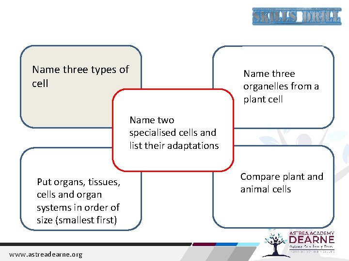 18 December 2021 1. Last Lesson 2. Last week Name three types of cell