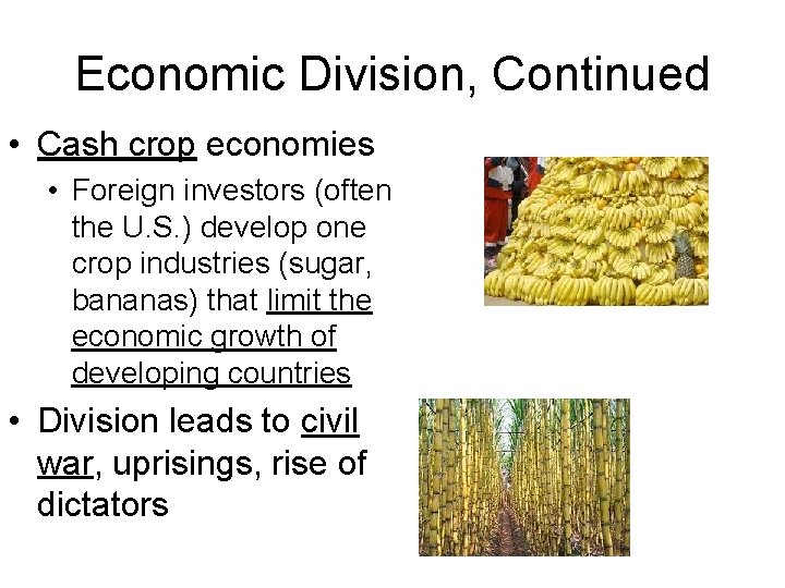 Economic Division, Continued • Cash crop economies • Foreign investors (often the U. S.