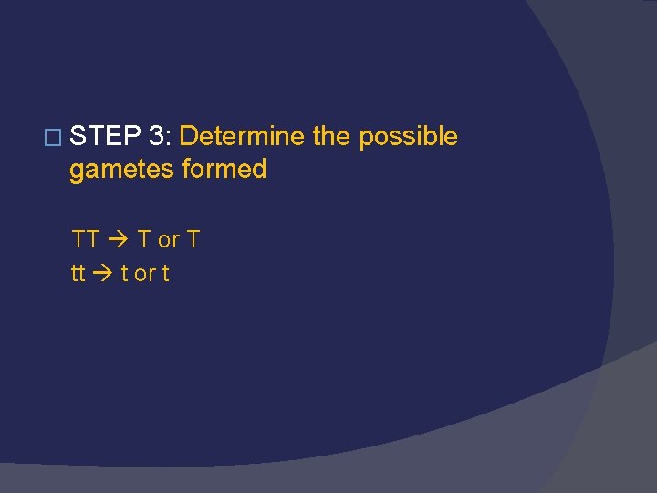 � STEP 3: Determine the possible gametes formed TT T or T tt t