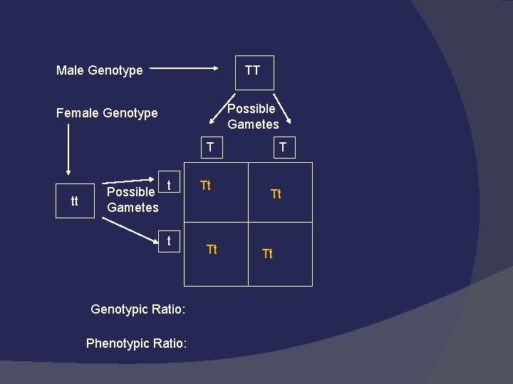 Male Genotype TT Possible Gametes Female Genotype T tt Possible t Gametes t Genotypic