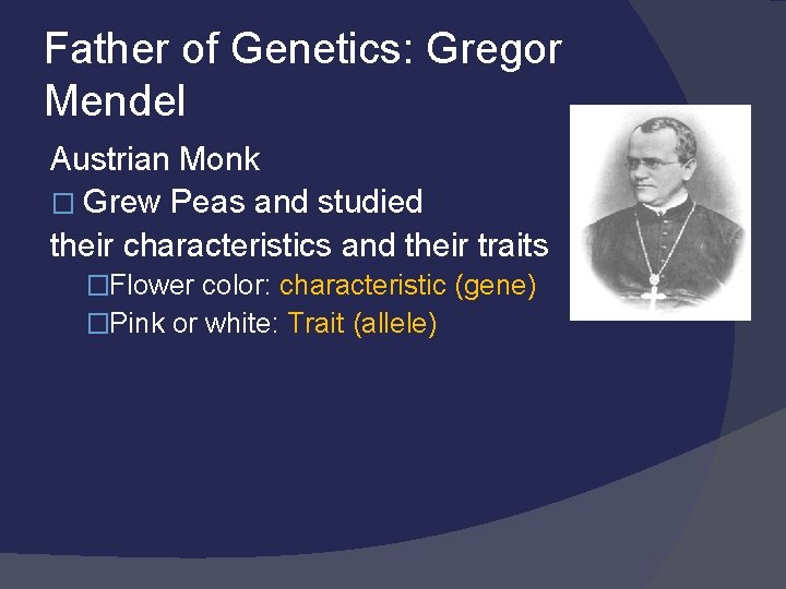 Father of Genetics: Gregor Mendel Austrian Monk � Grew Peas and studied their characteristics