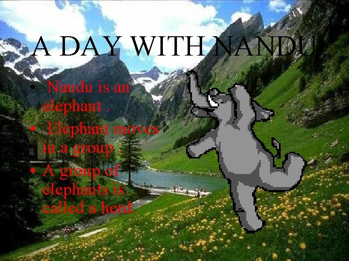 A DAY WITH NANDU • Nandu is an elephant. • Elephant moves in a