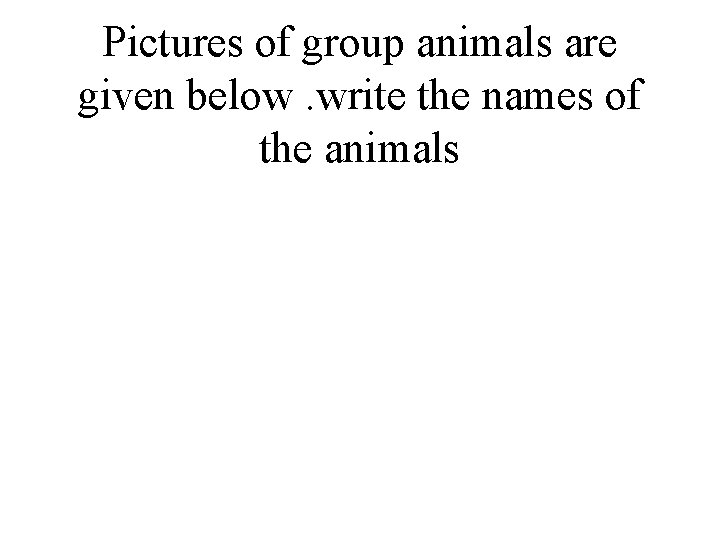 Pictures of group animals are given below. write the names of the animals 