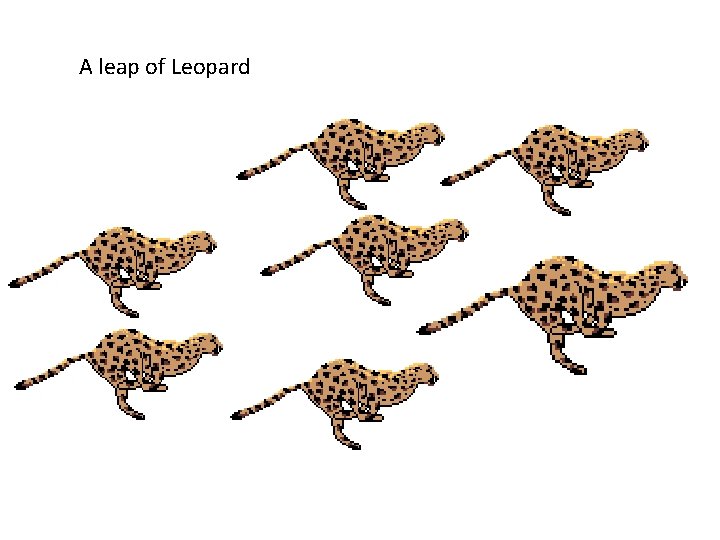 A leap of Leopard 