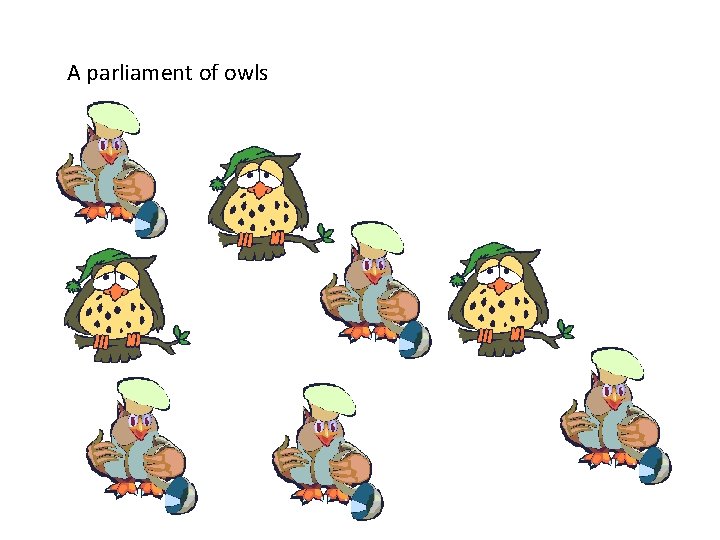 A parliament of owls 