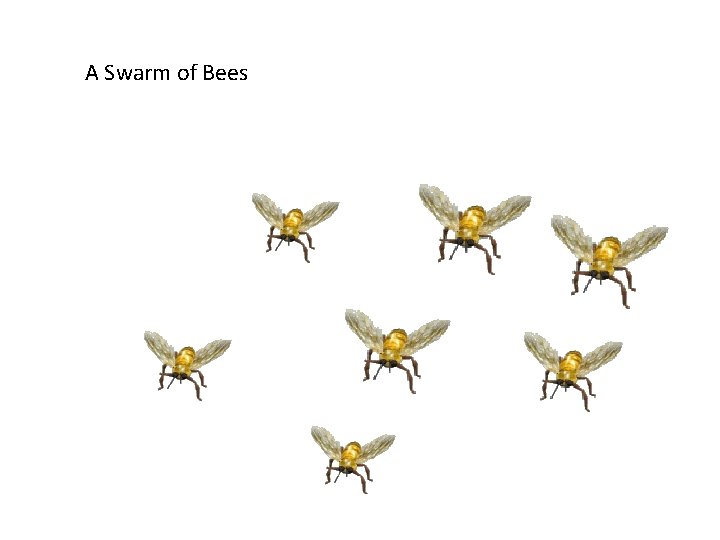 A Swarm of Bees 