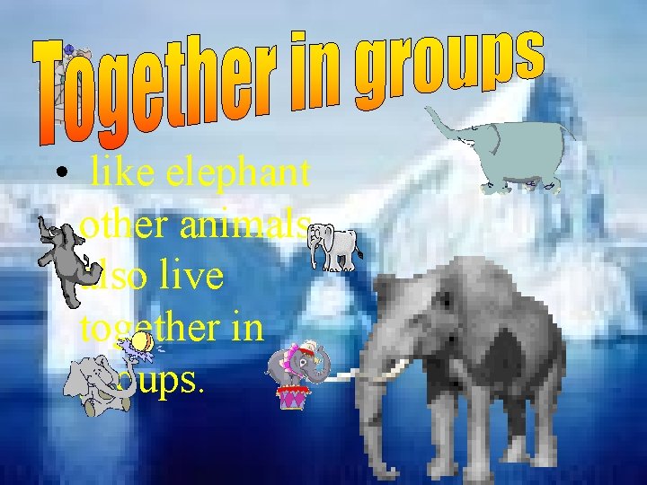  • like elephant other animals also live together in groups. 