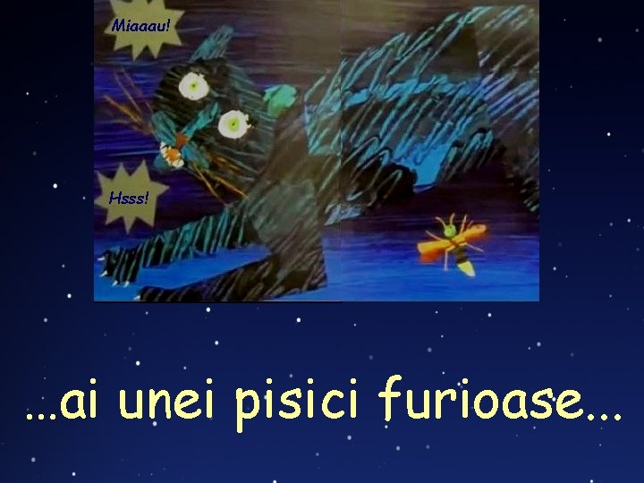 Miaaau! Hsss! …ai unei pisici furioase. . . 