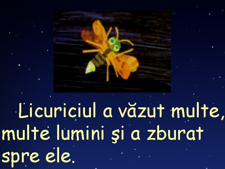 Licuriciul a văzut multe, multe lumini şi a zburat spre ele. 