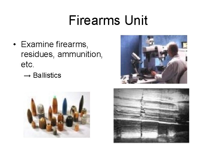 Units of a Typical Crime Lab Physical Science