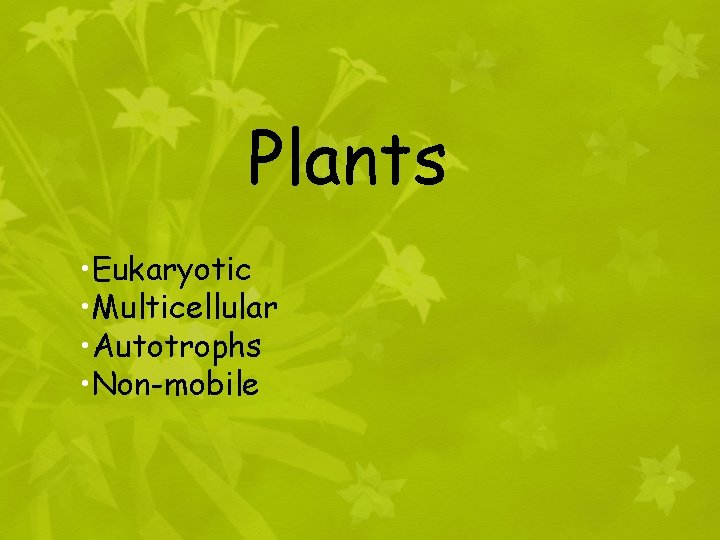 Plants • Eukaryotic • Multicellular • Autotrophs • Non-mobile 