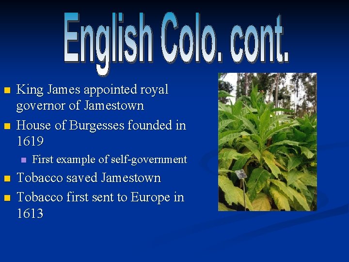 n n King James appointed royal governor of Jamestown House of Burgesses founded in