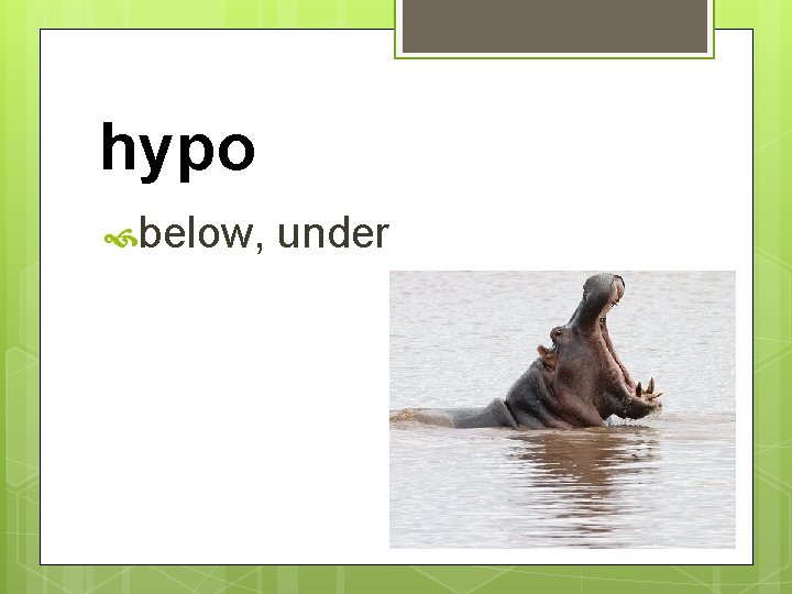 hypo below, under 