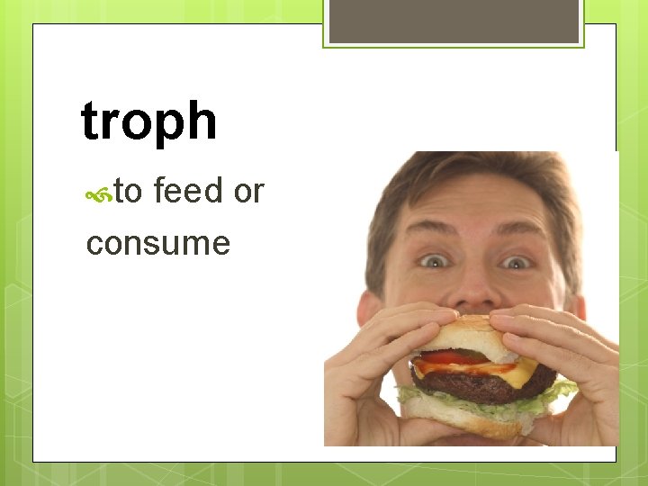 troph to feed or consume 
