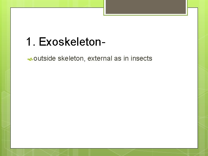 1. Exoskeleton outside skeleton, external as in insects 