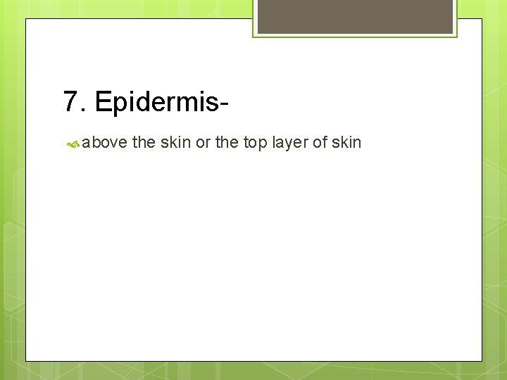 7. Epidermis above the skin or the top layer of skin 