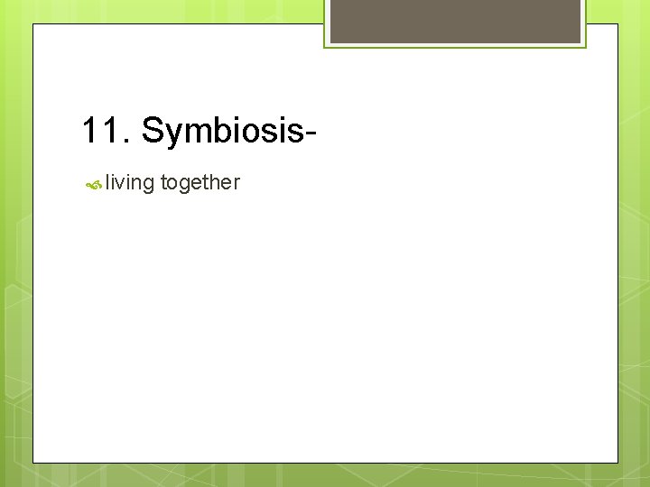 11. Symbiosis living together 