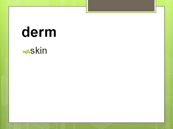 derm skin 
