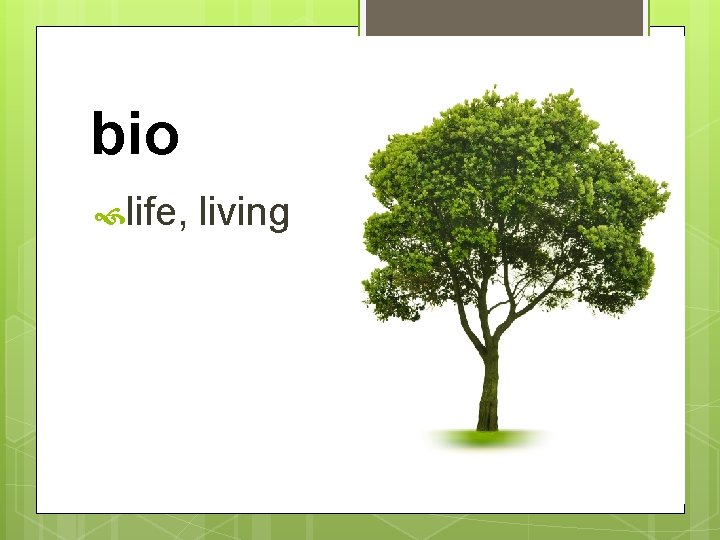 bio life, living 