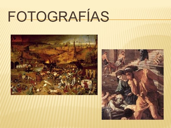 FOTOGRAFÍAS 