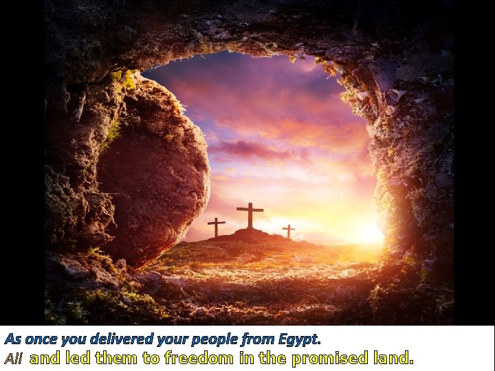As once you delivered your people from Egypt. All and led them to freedom