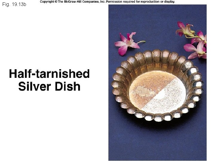 Fig. 19. 13 b Fig. 19. 13 b