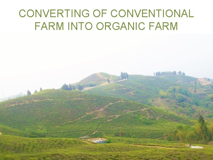 CONVERTING OF CONVENTIONAL FARM INTO ORGANIC FARM 