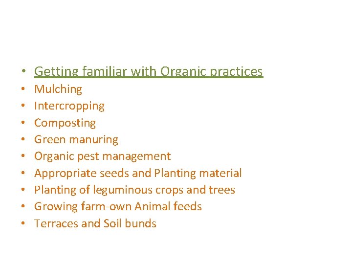  • Getting familiar with Organic practices • • • Mulching Intercropping Composting Green