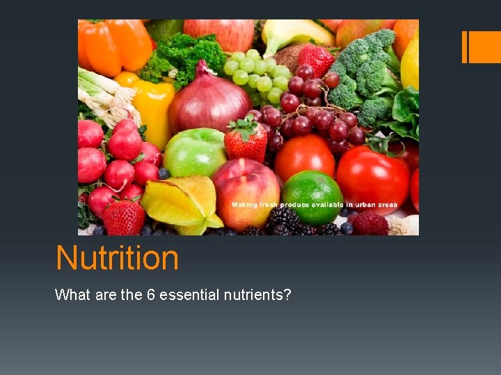 Nutrition What are the 6 essential nutrients? 