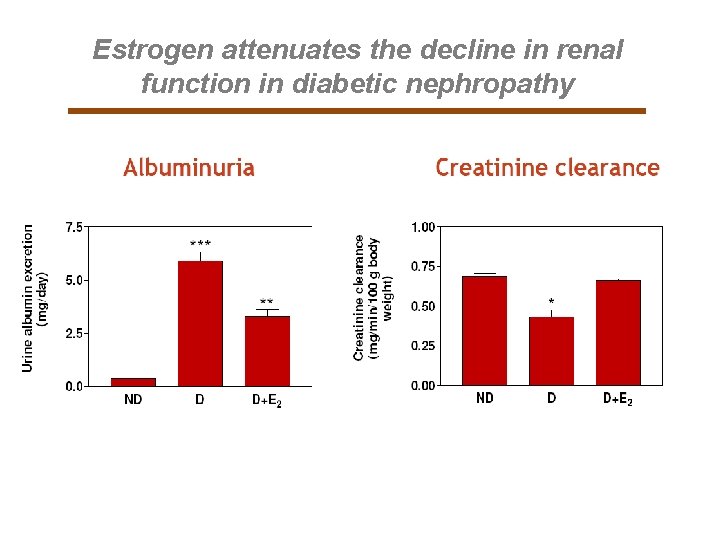 Estrogen attenuates the decline in renal function in diabetic nephropathy 