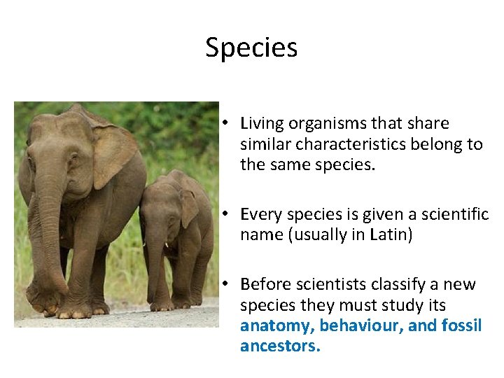 Species • Living organisms that share similar characteristics belong to the same species. •
