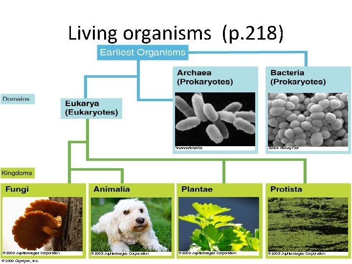 Living organisms (p. 218) 