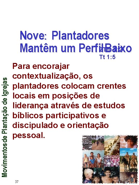 Nove: Plantadores 2: 2 Mantêm um Perfil 2 Tm Baixo Movimentos de Plantação de