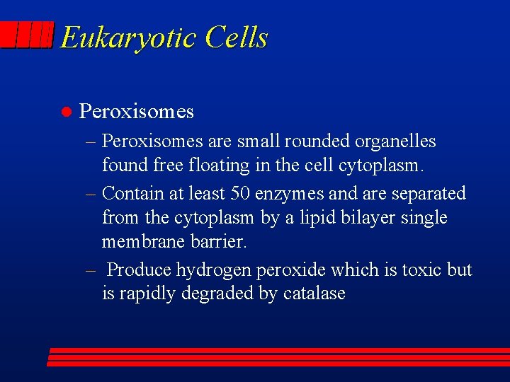 Eukaryotic Cells l Peroxisomes – Peroxisomes are small rounded organelles found free floating in