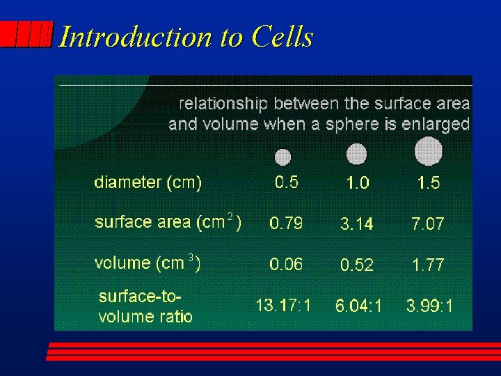 Introduction to Cells 