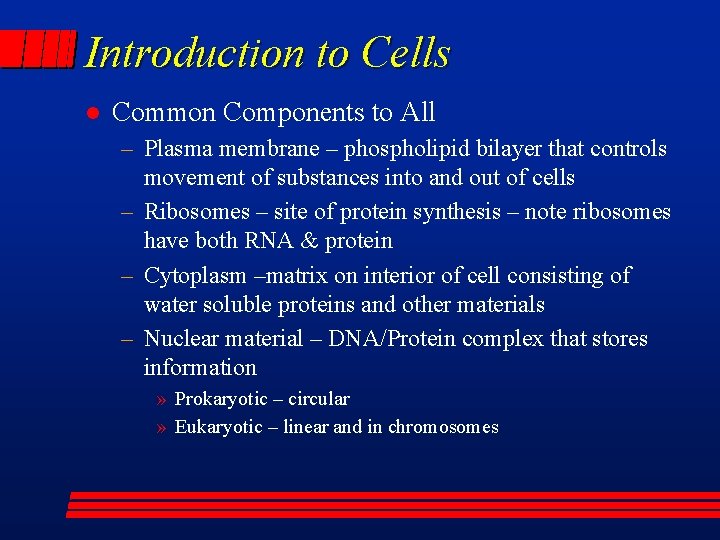 Introduction to Cells l Common Components to All – Plasma membrane – phospholipid bilayer