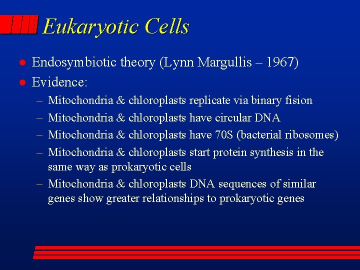 Eukaryotic Cells l l Endosymbiotic theory (Lynn Margullis – 1967) Evidence: – – Mitochondria