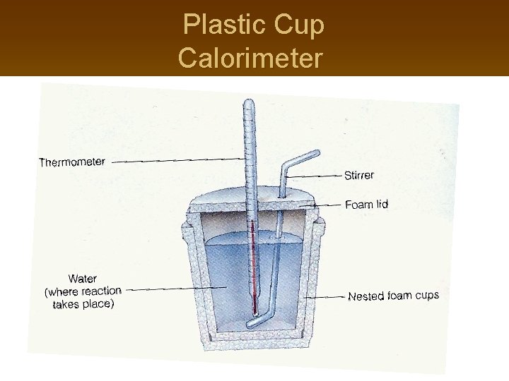 Plastic Cup Calorimeter 